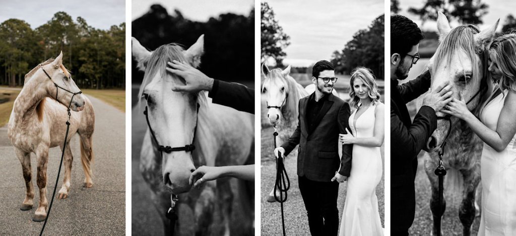Bride and groom with a horse