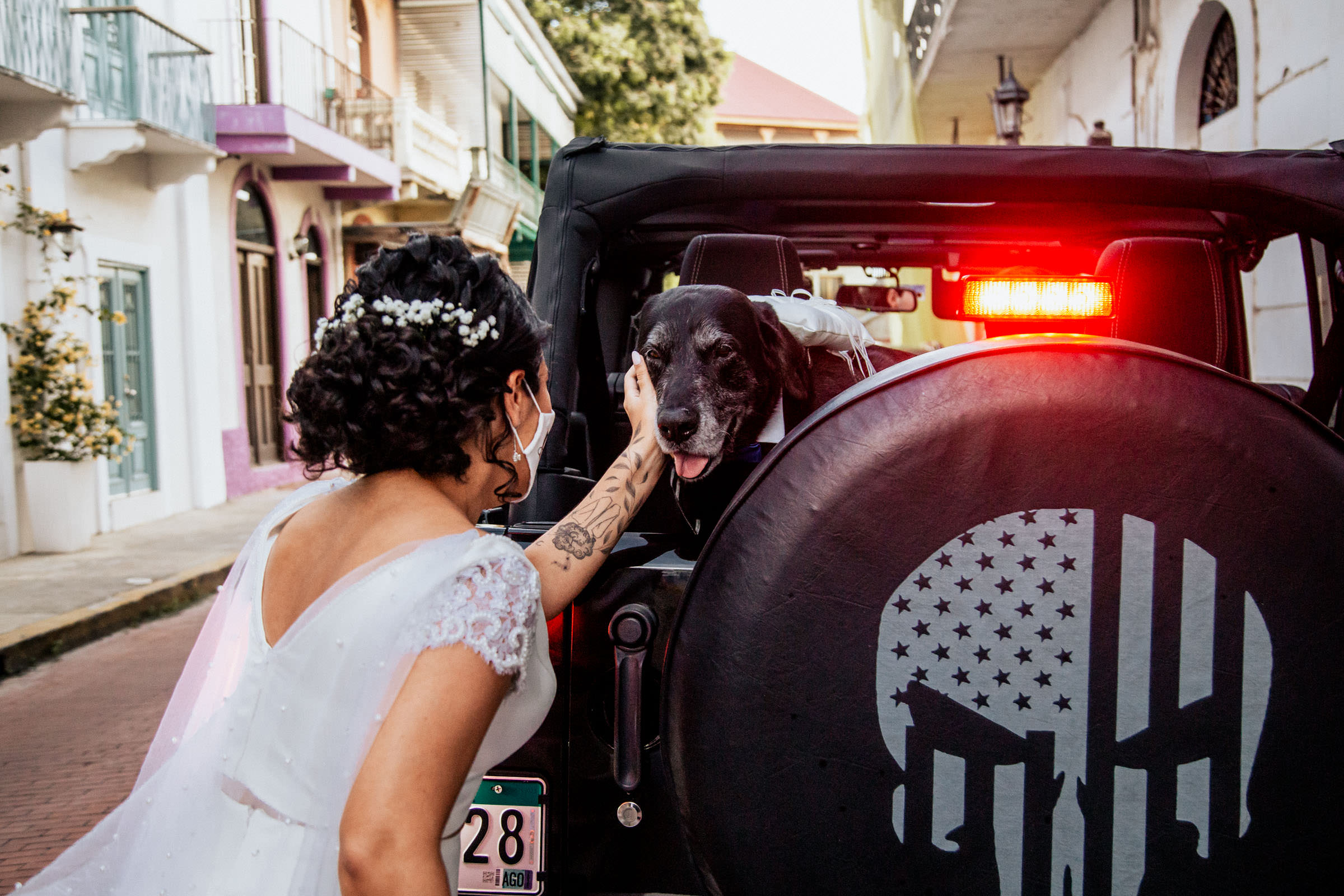 novia acariciando perro