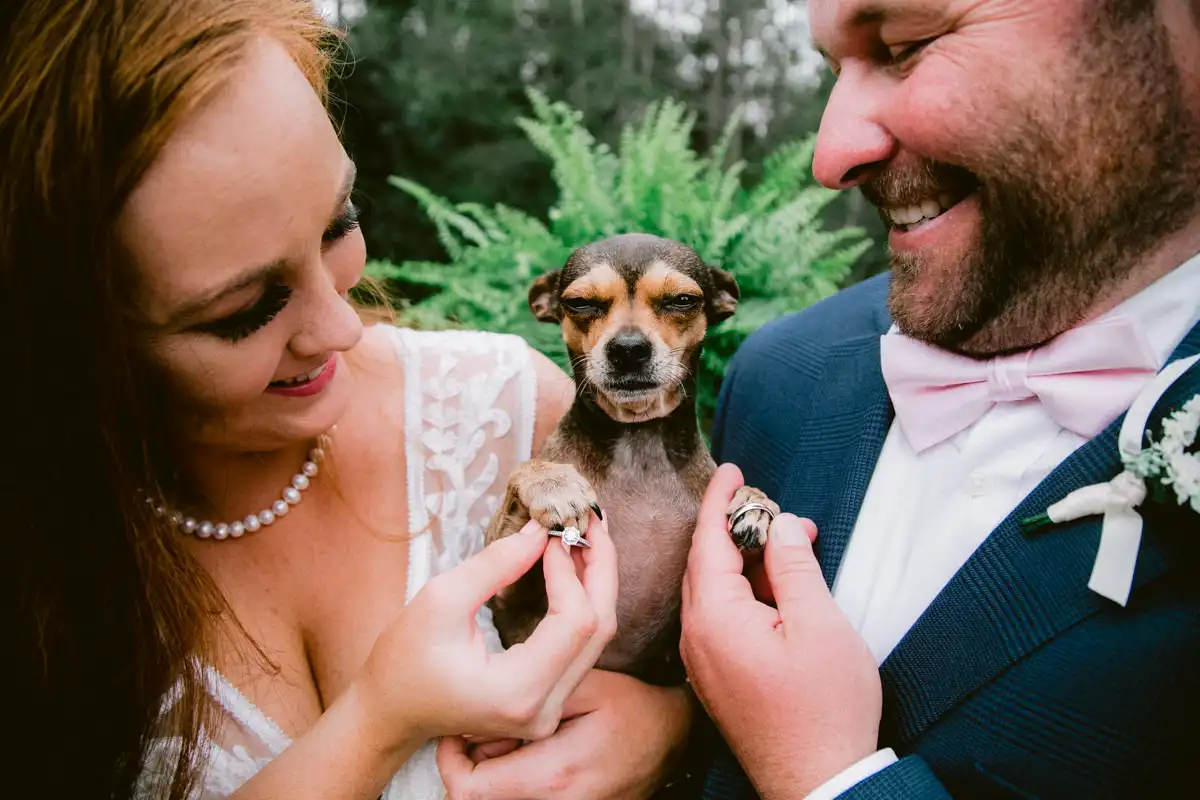 Wedding couple with dog