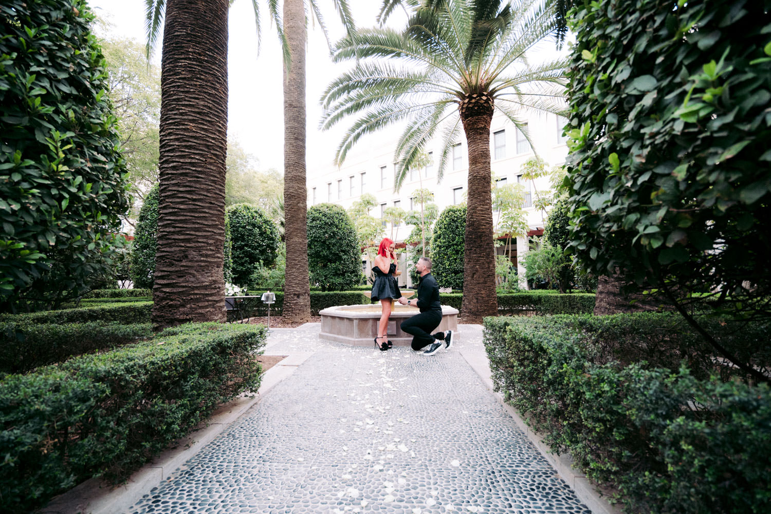 A Dream Proposal in Valencia Spain