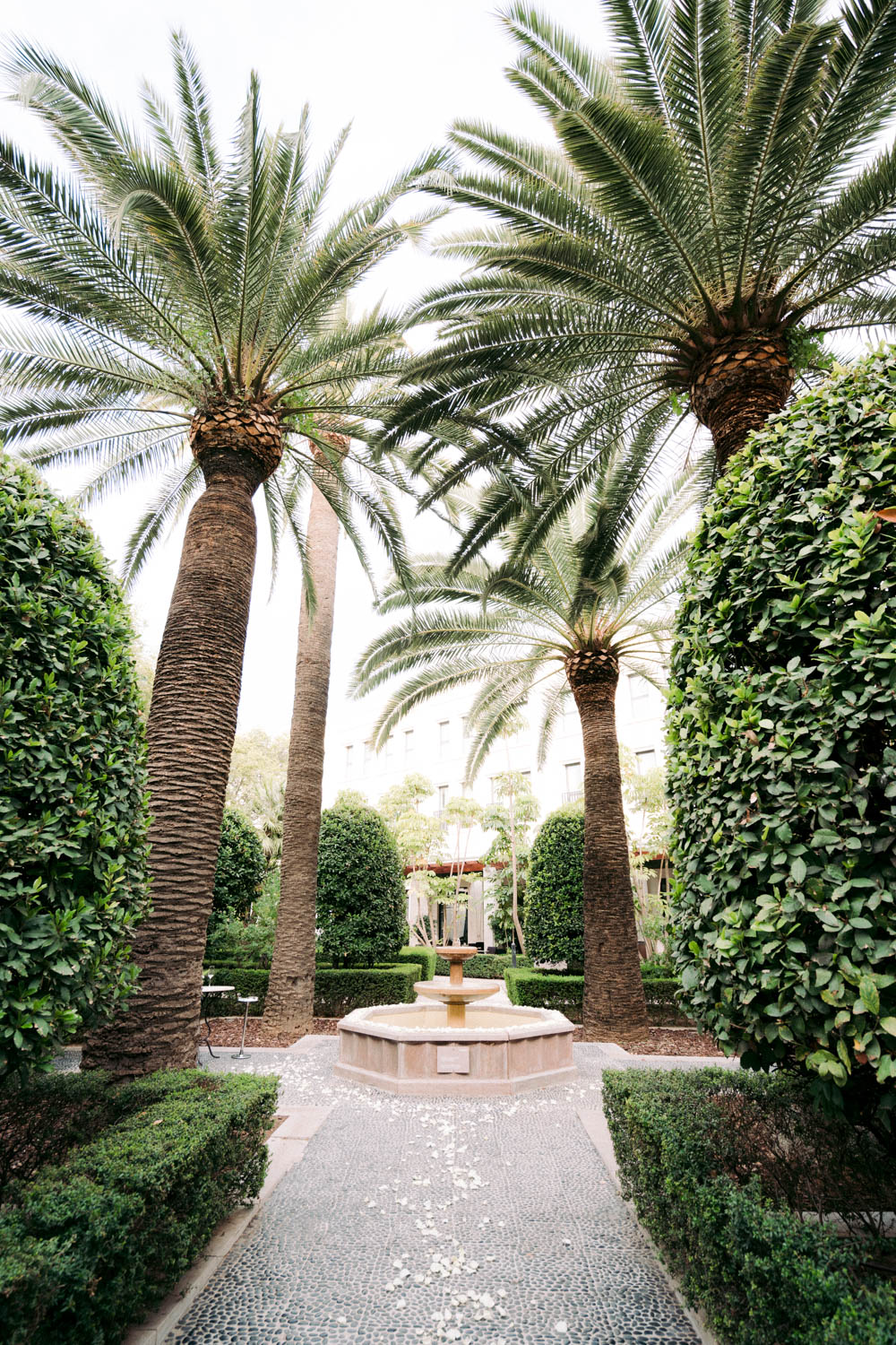 the gardens of the Westin Valencia Hotel