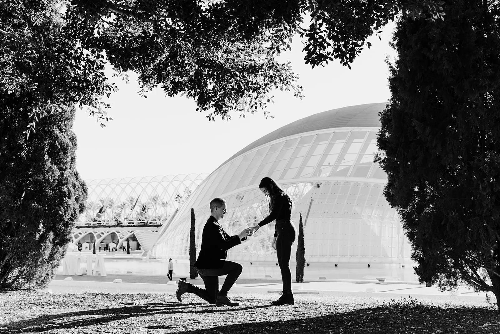Proposal at the City of Arts and Sciences