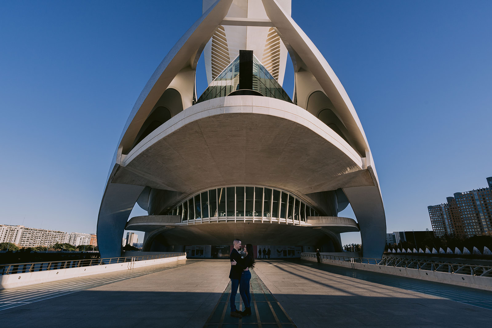 the City of Arts and Sciences in Valencia